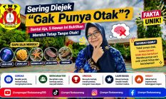Sering Diejek “Gak Punya Otak”? Santai Aja, 5 Hewan Ini Buktikan Mereka Tetap Tanpa Otak!