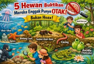 Sering Diejek “Gak Punya Otak”? Santai Aja, 5 Hewan Ini Buktikan Mereka Tetap Tanpa Otak!