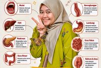 Perjalanan makanan darI awal hingga sampai pembuangan Anus