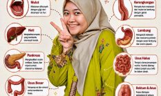 Sistem Pencernaan: Rahasia Tubuh Mengubah Makanan Menjadi Energi!