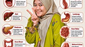 Perjalanan makanan darI awal hingga sampai pembuangan Anus