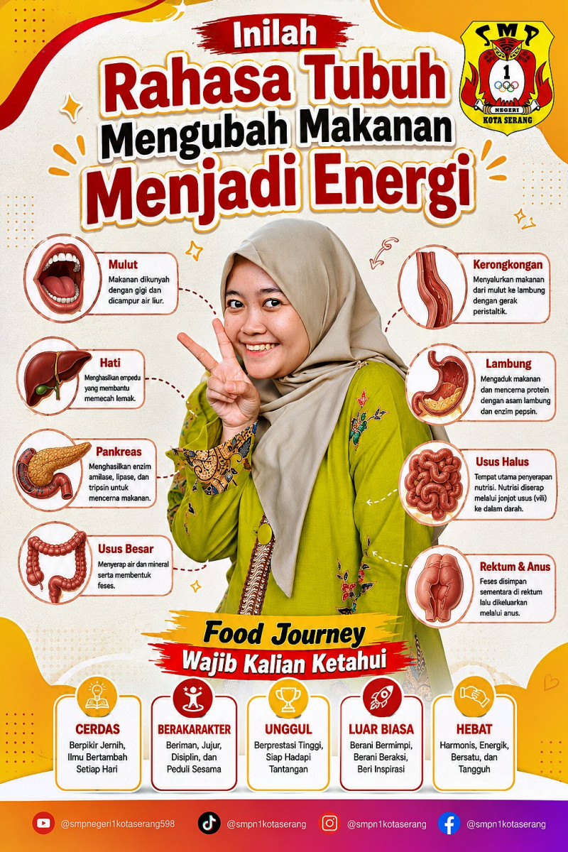 Perjalanan makanan darI awal hingga sampai pembuangan Anus